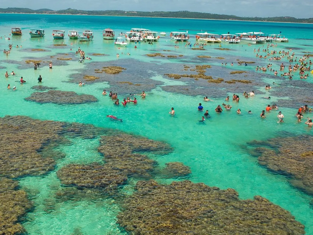 Maragogi